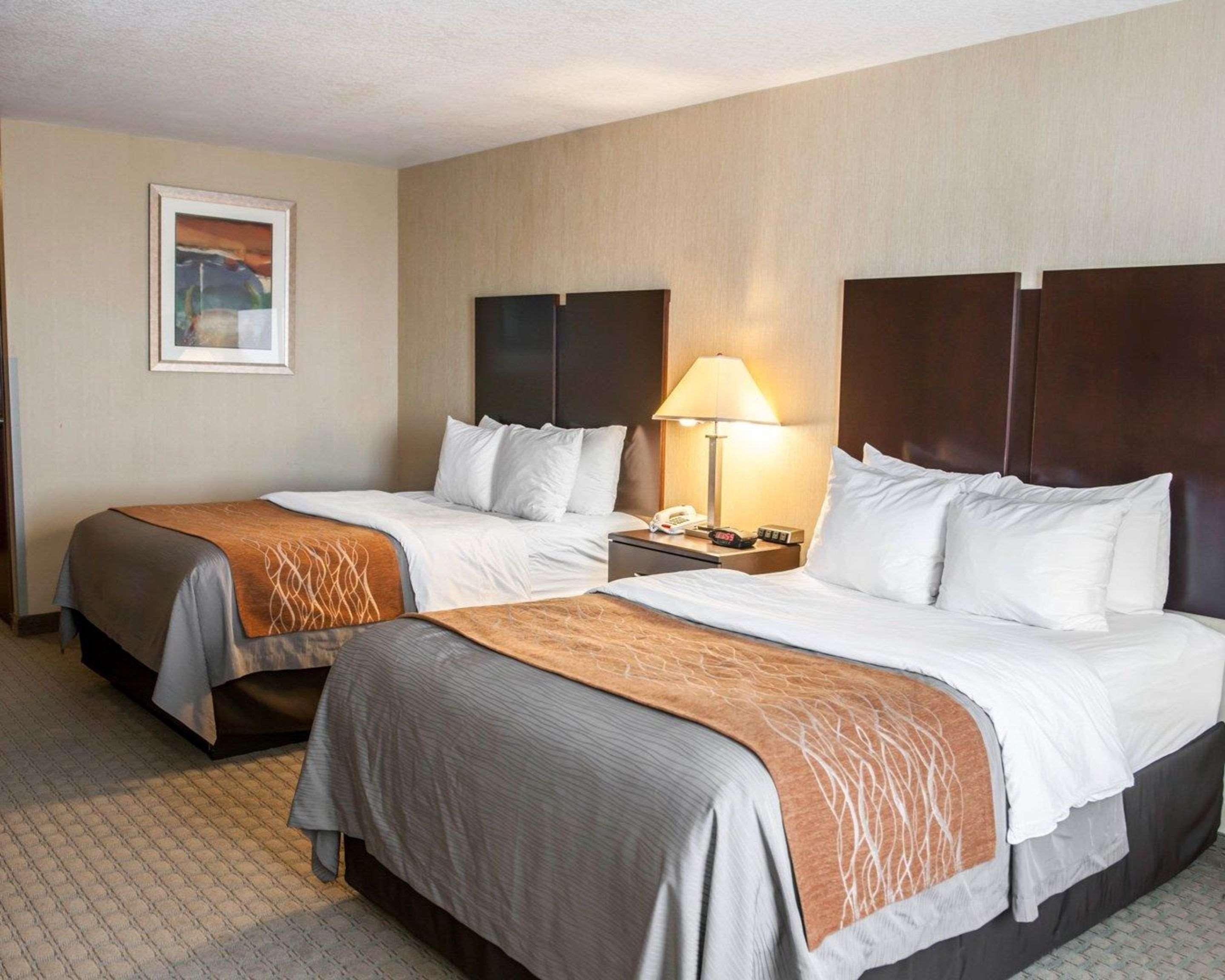 Comfort Inn & Suites Muncie Buitenkant foto
